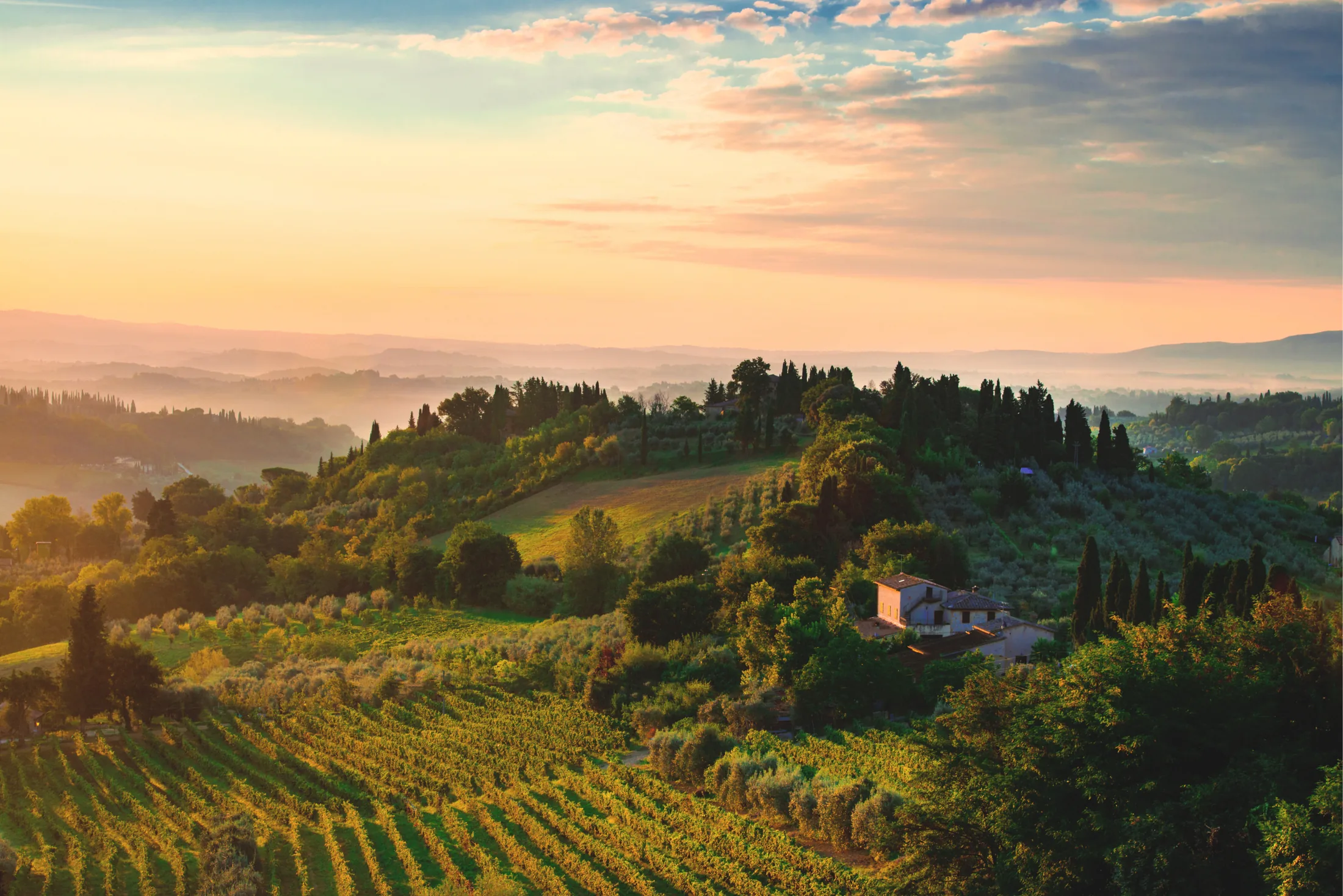 Golden light over the Tuscan hills and vineyards at sunrise