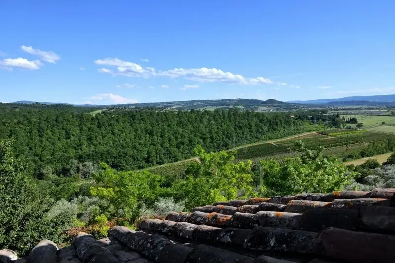 The view over hills and vineyards from the terrace