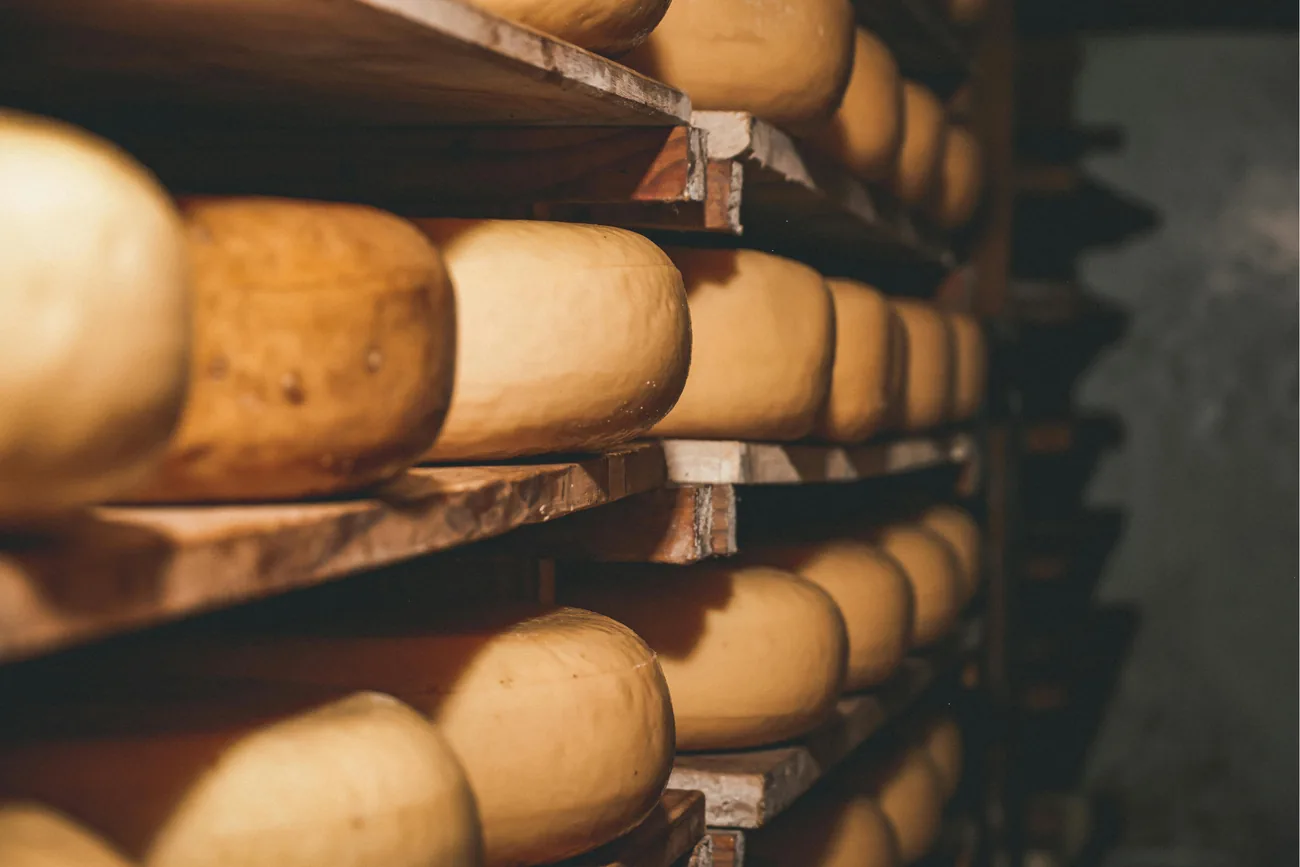 Local cheese tour and lunch
